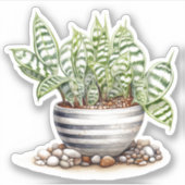 Gestreepte Zebra Haworthia Pot Plant Vinyl Sticker (Voorkant)