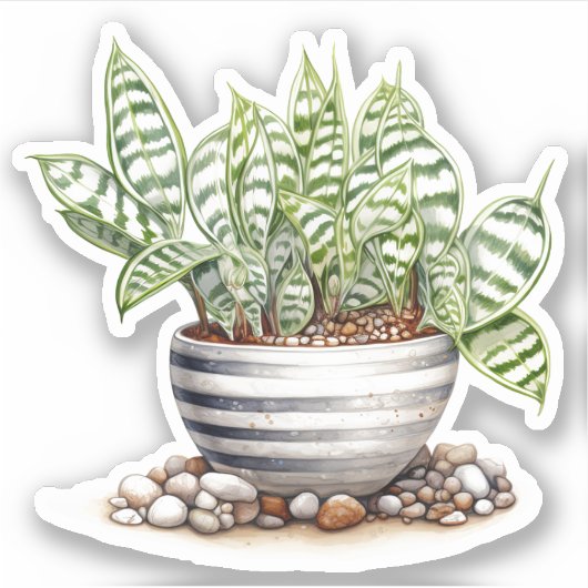 Gestreepte Zebra Haworthia Pot Plant Vinyl Sticker (Voorkant)