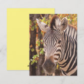 Gestreepte zebra van dichtbij in een mopani-bosfot feestdagenkaart (Voorkant / Achterkant)
