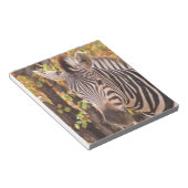Gestreepte zebra van dichtbij in een mopani-bosfot notitieblok (Schuin)