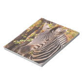Gestreepte zebra van dichtbij in een mopani-bosfot notitieblok (Linkerzijde)