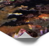 Gestreepte zeeduivel poster (Hoek)