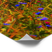 Gestrengeld Poster (Hoek)