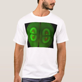 Gestrimeerd kikkerei t-shirt