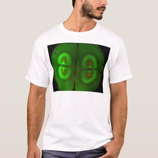 Gestrimeerd kikkerei t-shirt (Voorkant)