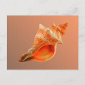 Gestripte Vos Briefkaart (Voorkant)