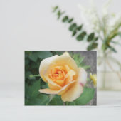 Gestrooid Gele Rose Briefkaart (Staand voorkant)