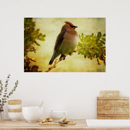 Gestructureerde Posterprint van de Cederpestvogel Poster