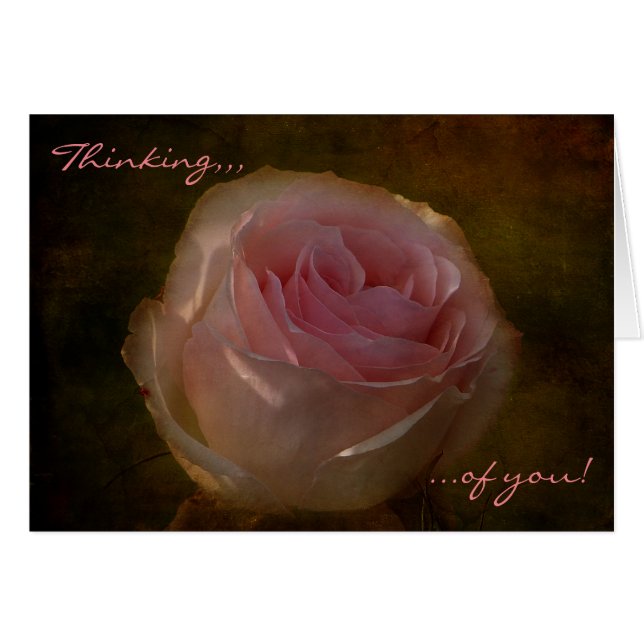 Gestucte Roze Roos "Aan Jou Denkend" Wenskaart (Voorkant Horizontaal)