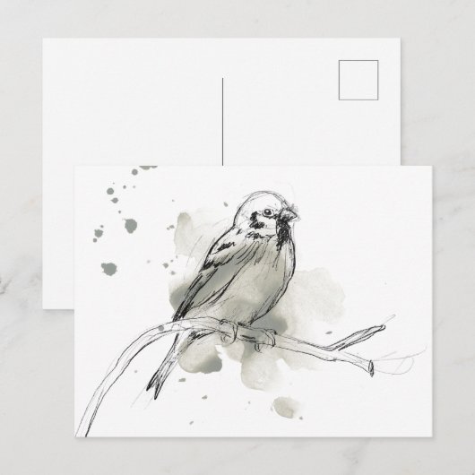 Gestural Bird Study Briefkaart (Voorkant / Achterkant)