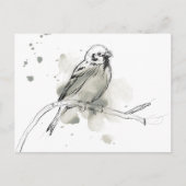 Gestural Bird Study Briefkaart (Voorkant)