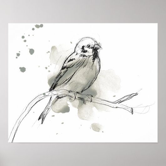 Gestural Bird Study Poster (Voorkant)