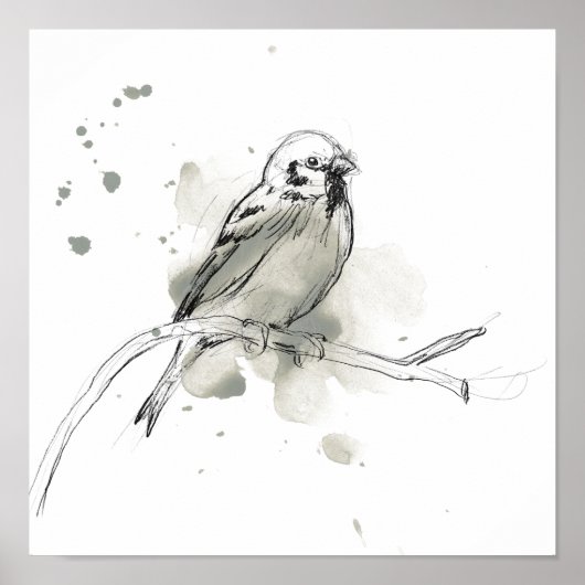 Gestural Bird Study Poster (Voorkant)