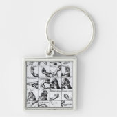Gestures voor het onderdrukken van John Bulwer's ' Sleutelhanger (Voorkant)