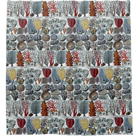  gestyliseerde Zee koralen Douchegordijn (Voorkant)