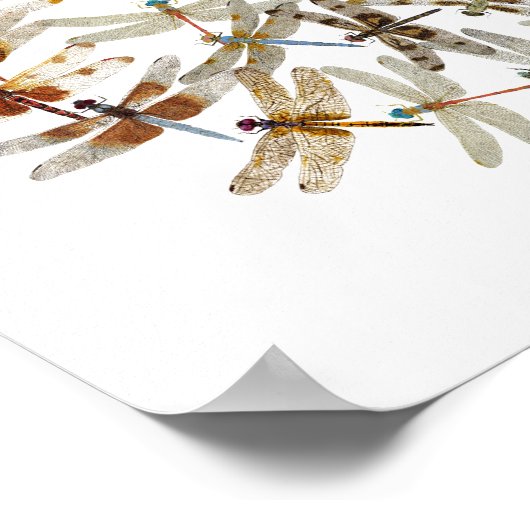 Gesynchroniseerde libellen poster (Hoek)