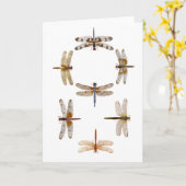 gesynchroniseerde vliegende libellen kaart (Gele Bloem)