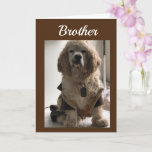 GET OUD & CELEBRATE YOUR DAY **BROTHER* CARD KAART<br><div class="desc">THIS MY "16 1/2 YEAR OLD COCKER NAMED DAKOTA! HE LOVES POSING FOR MY CARDS!!!!!!! THANKS FOR STOPPING BY ONE OF MY EIGHT STORES!!!!! REM¯—YOU CAN CHANGE THE 'AGE' AND THE 'VERSE' ON ALMOST ALL OF MY CARDS!!!!!</div>