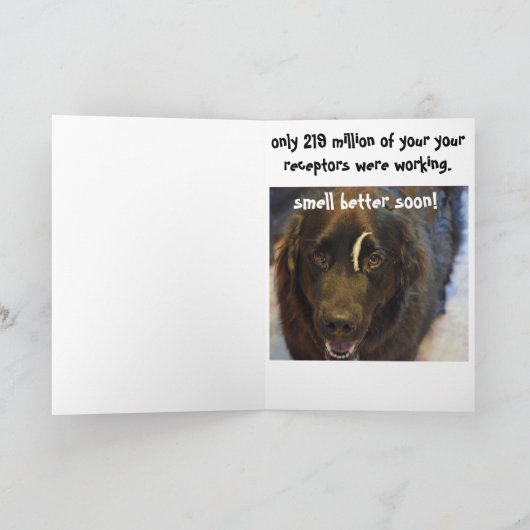Get Well beroemd gemaakt door Dog Humor Greeting Kaart (Binnen)