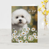 Get Well Bichon Frise Dog Daisies Kaart (Gele Bloem)