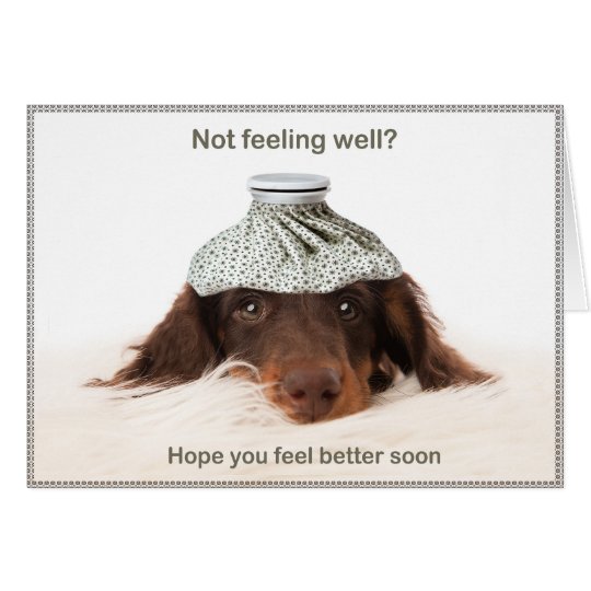 Get well card with a dachshund hound dog kaart