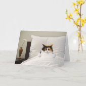 Get Well Cat Kaart Grappig Schattige Schattig Best (Gele Bloem)