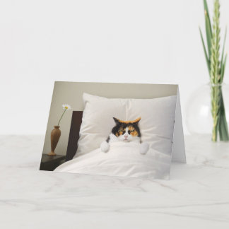 Get Well Cat Kaart Grappig Schattige Schattig Best