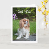 Get Well Flowers Cavalier King Charles Spanelles Kaart (Gele Bloem)