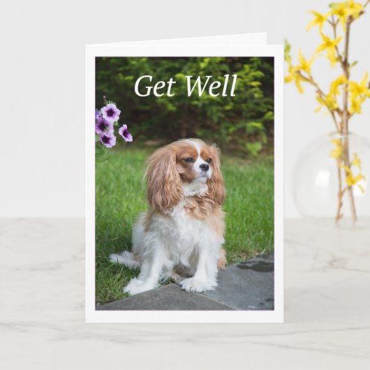 Get Well Flowers Cavalier King Charles Spanelles Kaart (Gele Bloem)