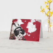 Get Well - Havanese Puppy Kaart (Gele Bloem)