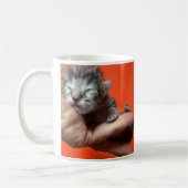 Get Well, I Care About You, Kitten Coffee Mug Koffiemok (Links)