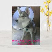 Get Well Kaart #2 (Grappig) (Gele Bloem)