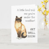 Get Well Kaart - Birman Cat (Gele Bloem)