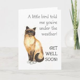Get Well Kaart - Birman Cat