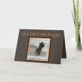 "Get Well" Kaart met Schattigee Basset Hound Puppy