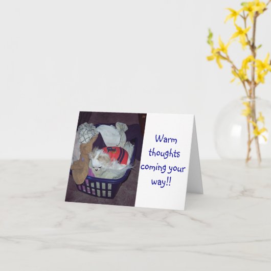 Get Well Kaart voor honden (Gele Bloem)