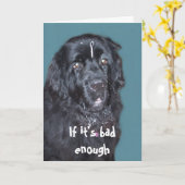 Get Well ~ Newfoundland Dog Kaart (Gele Bloem)
