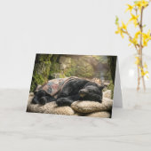 Get Well Soon Black Bear Sleeping Under a Quilt Kaart (Gele Bloem)