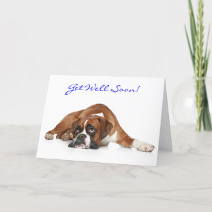 Get Well Soon Boxer Dog Wenskaart - Verse Kaart