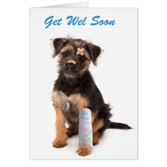 Get well soon card Border Terrier dog Kaart