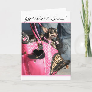 Get Well Soon Chihuahua Dog wenskaart Kaart