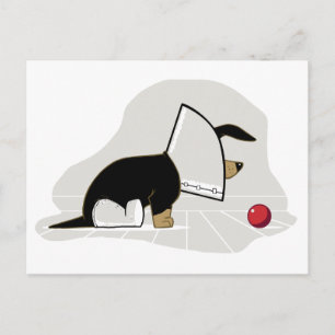 Get Well Soon - Hondenhoofdkegel Briefkaart