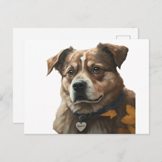 Get-well soon-kaart briefkaart (Voorkant / Achterkant)