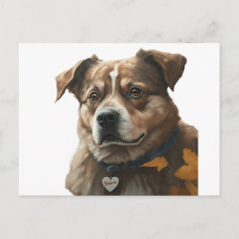 Get-well soon-kaart briefkaart