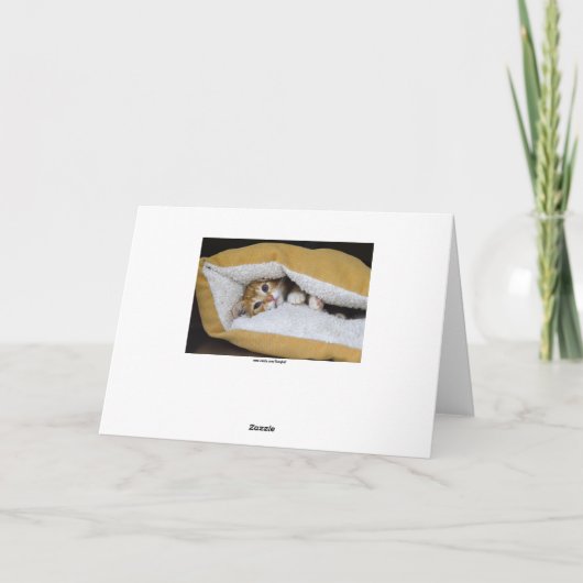 Get Well Soon Oranje Tabby Kitten Kaart (Achterkant)