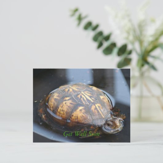 Get well soon turtle Postcard Briefkaart (Staand voorkant)
