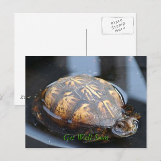 Get well soon turtle Postcard Briefkaart (Voorkant / Achterkant)