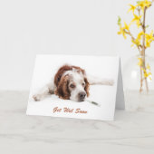Get well with Welsch Springer Spaniel dog Kaart (Gele Bloem)