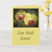 Get Well Yellow Moth Orchids - Phalaenopsis Kaart (Gele Bloem)