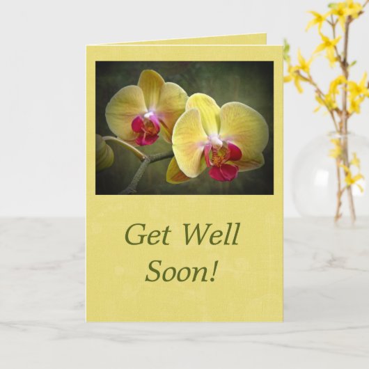 Get Well Yellow Moth Orchids - Phalaenopsis Kaart (Gele Bloem)